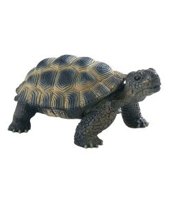 Figurine Tortue de terre : Deluxe - N/A