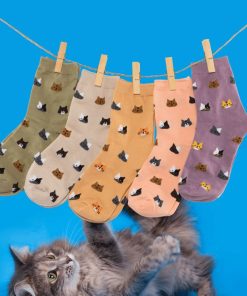 Coffret Chaussettes Tête De Chat (Lot x5)- Sockup- 35-42 - Multicolore