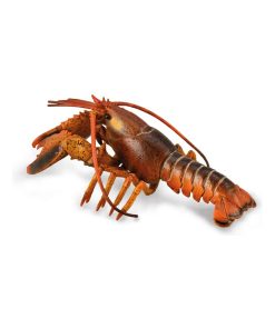 Figurine Animaux Marins Deluxe: Homard - N/A