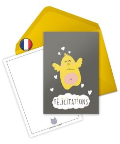 Carte De Félicitation Naissance Ou Grossesse 'poussin' | Fabrication Française - N/A