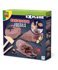 Découvre des fossiles - N/A