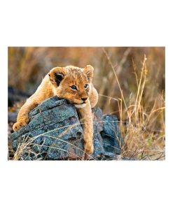 Puzzle 200 p XXL - Le petit lionceau - N/A