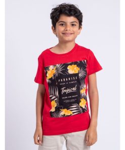 T-shirt manches courtes col rond pur coton NOCTAVIO-J - Rouge