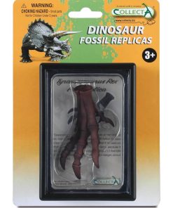 Coffret préhistorique : Réplique De Pied De T-Rex - N/A