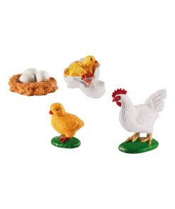 Cycle de vie du Poulet - N/A