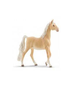 13912 Jument Saddlebred - N/A