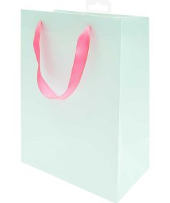 Sac cadeau menthe 26 x 18 cm - Vert