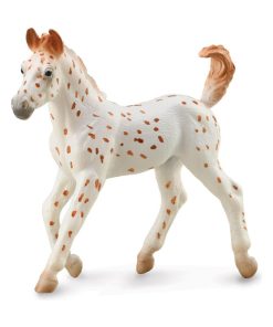 Figurine Cheval : Poulain Knabstrupper Léopard - N/A
