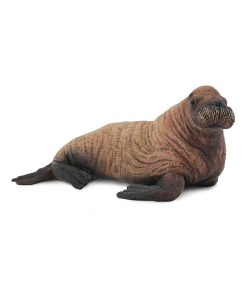 Figurine animaux marins : Bébé morse - N/A