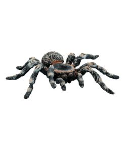 Figurine araignée : Tarentule blanche - N/A