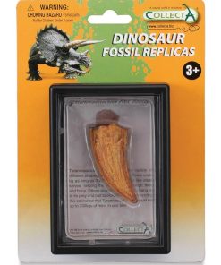 Coffret préhistorique : Dent Latérale De T-Rex (Réplique de fossile) - N/A