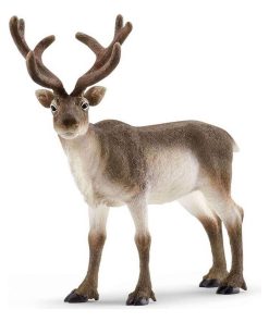 Wild Life - Renne - N/A