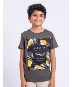 T-shirt manches courtes col rond pur coton NOCTAVIO-J - Kaki