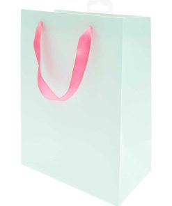 Sac cadeau menthe 26 x 32 cm - Vert