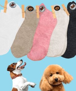 Coffret Chaussettes Languette Chiot (Lot x5)- Sockup- 35-42 - Multicolore