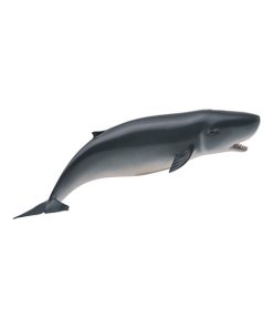 Figurine Cachalot Pygmée - N/A