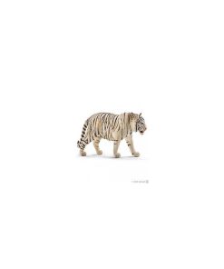 14731 Tigre Blanc Male - N/A