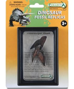 Figurine dinosaure : Dent De Triceratops - N/A