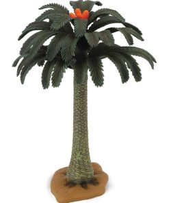 Collecta Arbres : Cycadophyta - N/A
