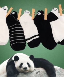Coffret Chaussettes Languette Panda (Lot x5)- Sockup- 35-42 - Multicolore