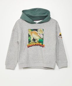 Sweat à capuche 'Jurassic Park' - Gris