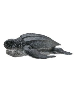 Figurine Tortue Luth - N/A