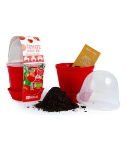 Kit de jardinage : Pot cloche Tomate cerise bio - N/A