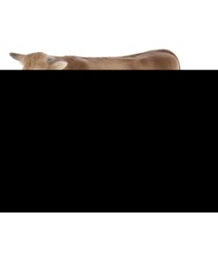 Figurine vache Alpine Liesel - N/A