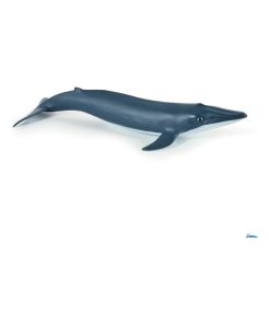 Bébé baleine bleue - N/A