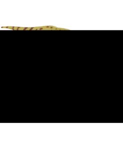 Figurine Préhistoire (M): Mantellisaurus - N/A