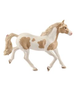 Jument Paint Horse - N/A