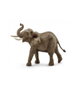14762 Elephant D'afrique Male - N/A