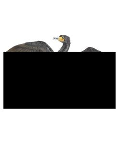 Figurine Oiseau : Cormoran - N/A
