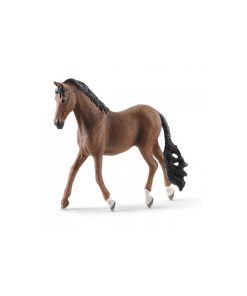 13909 Hongre Trakehner - N/A