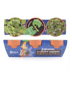 Kit de jardinage : 3 pots de plantes magiques - N/A