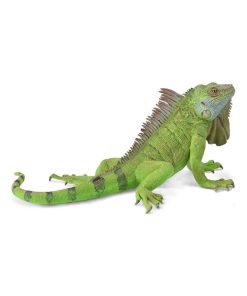 Figurine Animaux Sauvages (XL) : Iguane Vert - N/A