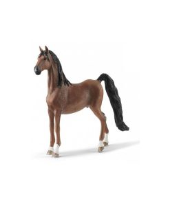 13913 Hongre Saddlebred - N/A
