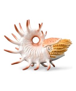 Figurine Préhistoire (XL) : Cooperoceras - N/A