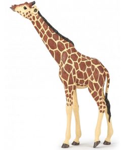 50236 Girafe Tête Levée Savane - N/A