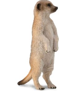 Figurine Animaux Sauvages (S): Suricate - N/A