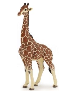 Figurine girafe mâle - N/A