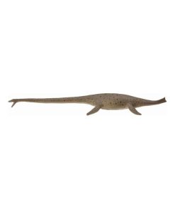 Figurine Préhistoire : Thalassomedon - N/A