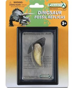 Coffret préhistorique : Dent de Tyrannosaurus Rex (Réplique de fossile) - N/A